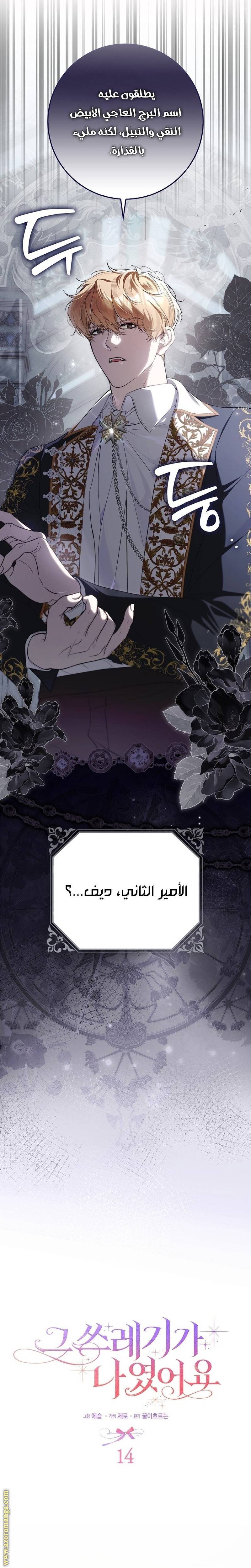 الصفحة 5