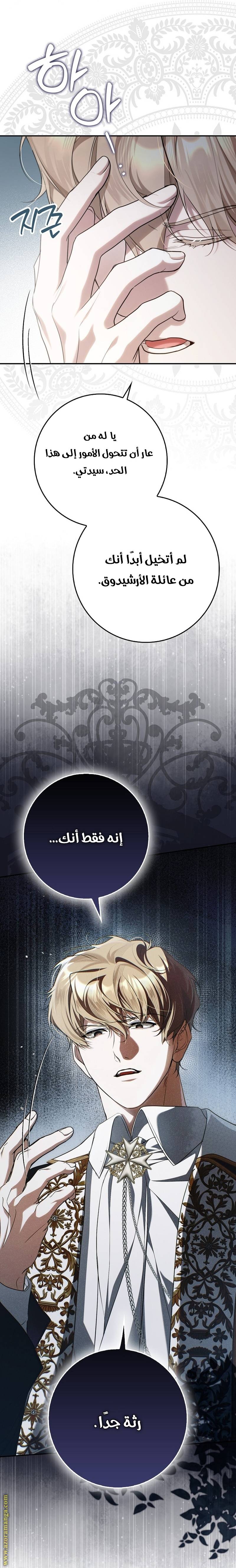 الصفحة 14