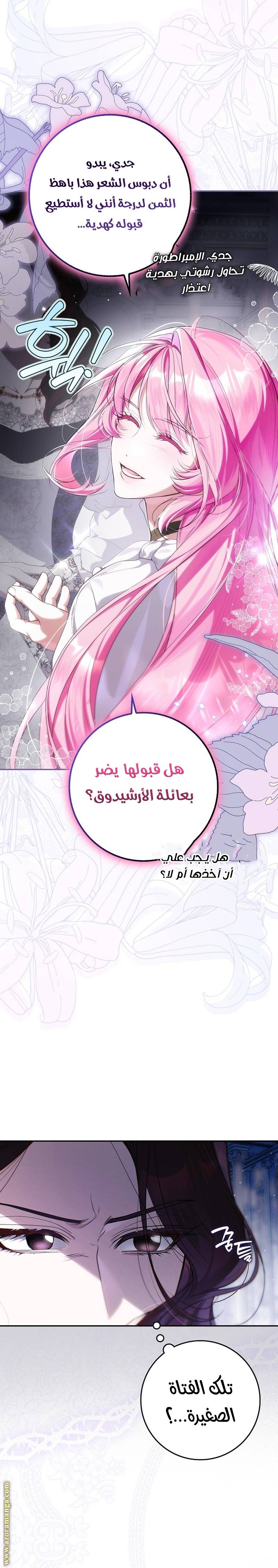 الصفحة 29