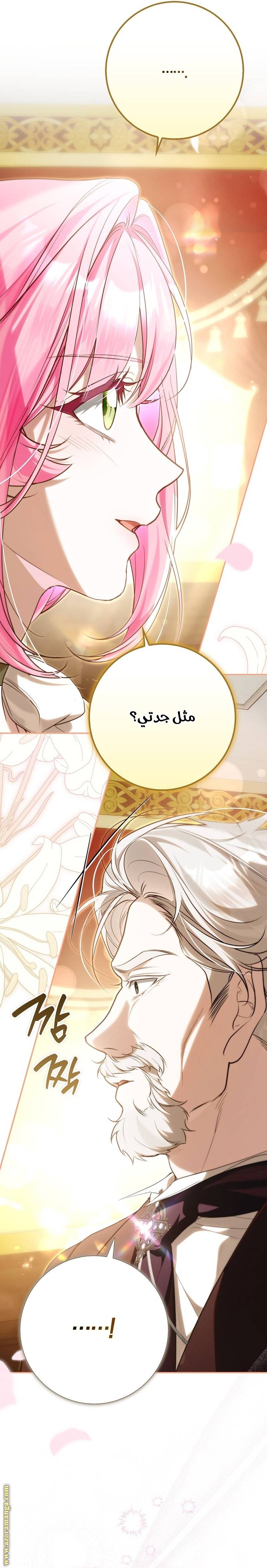 الصفحة 40