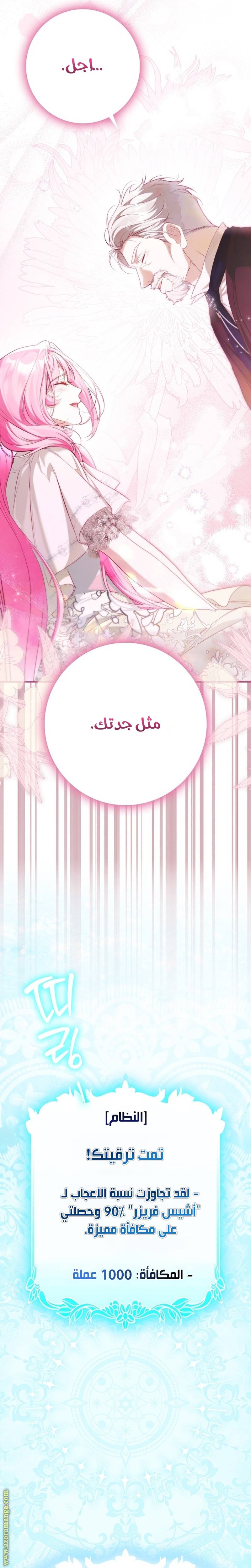 الصفحة 41