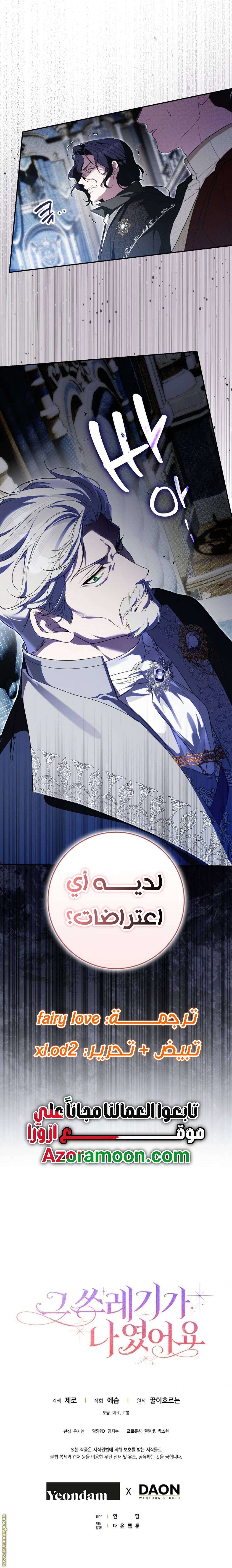 الصفحة 17