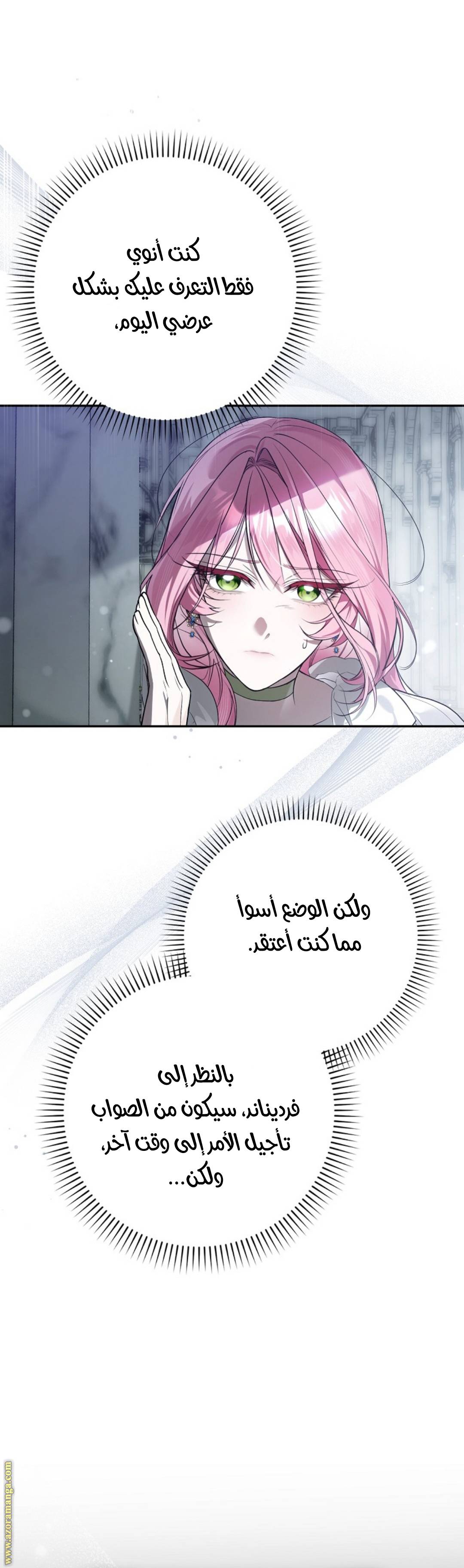 الصفحة 25