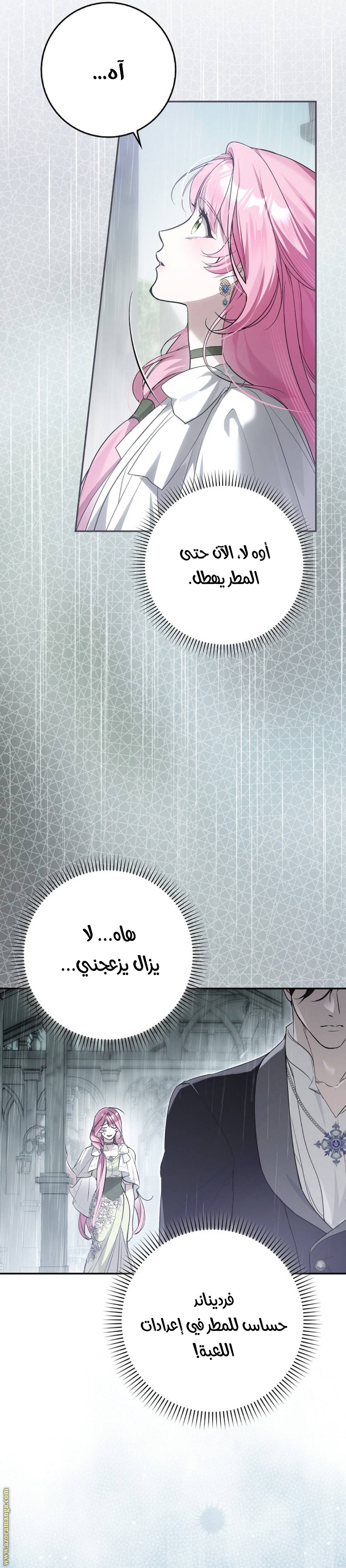 الصفحة 29