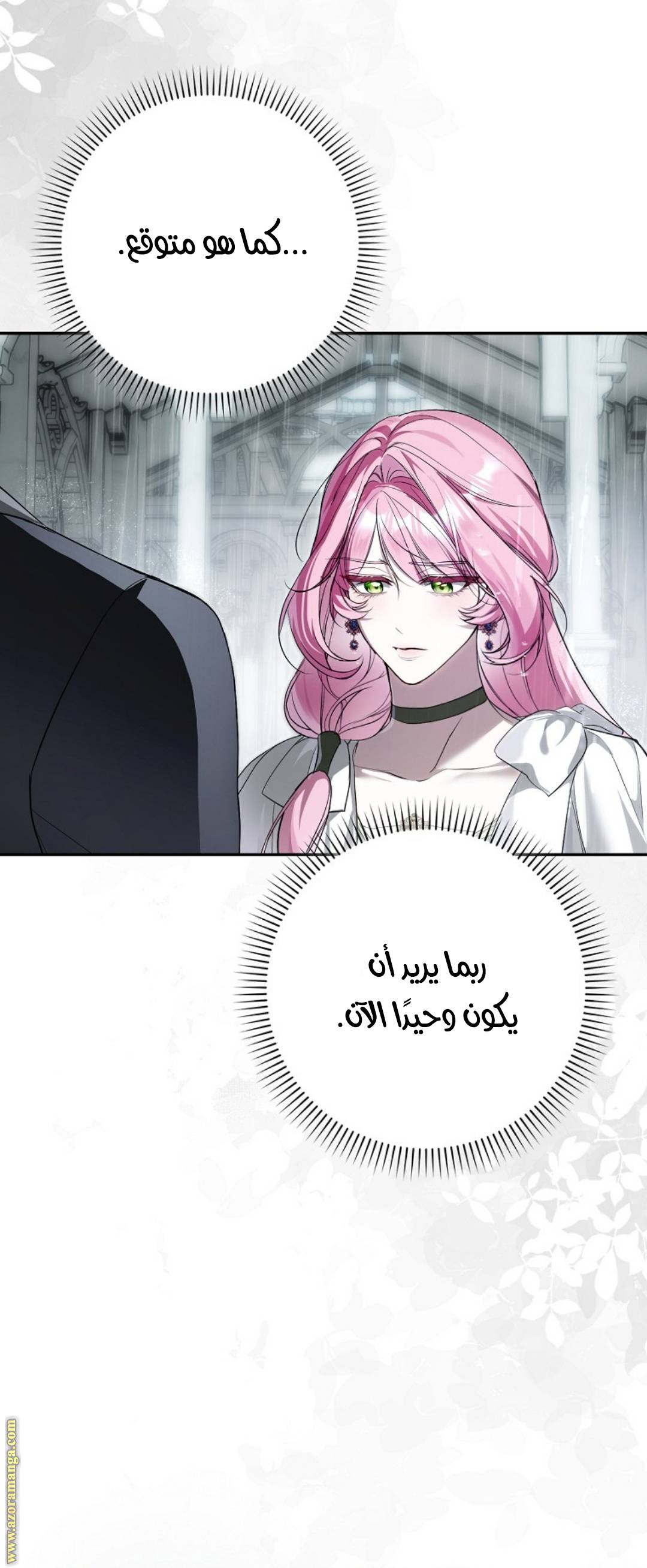 الصفحة 36