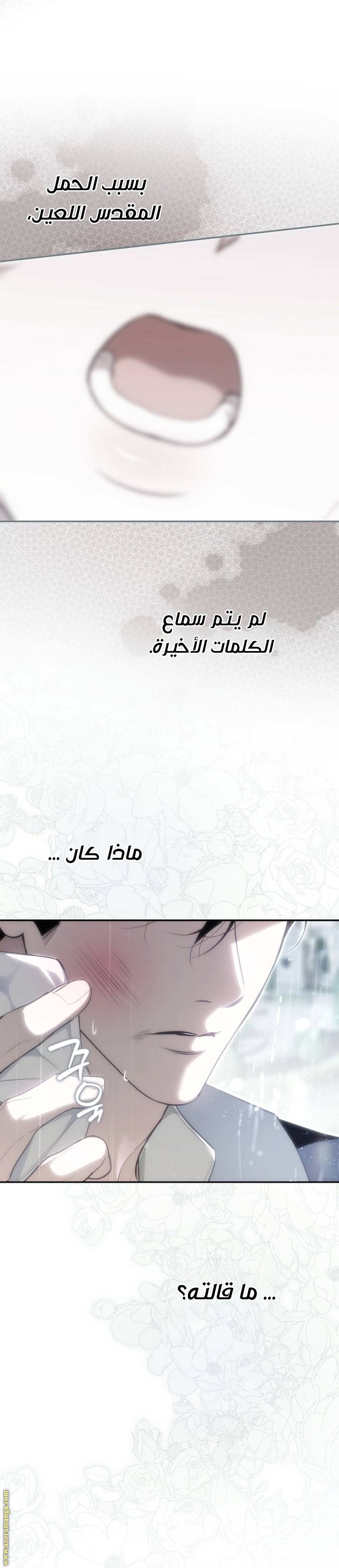 الصفحة 43