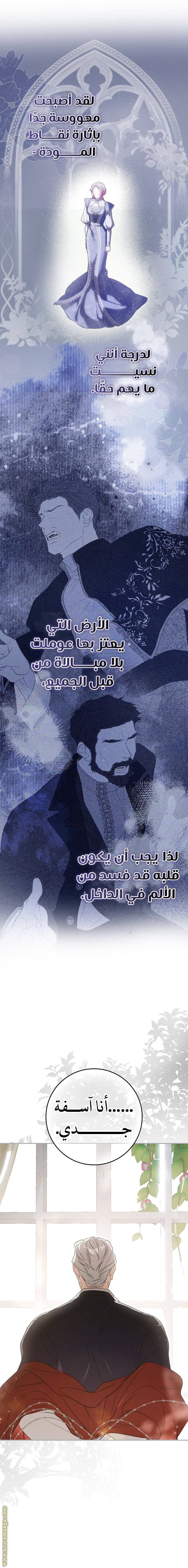 الصفحة 13