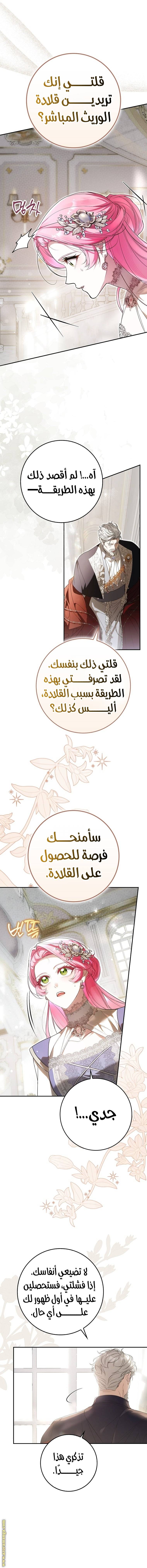 الصفحة 17