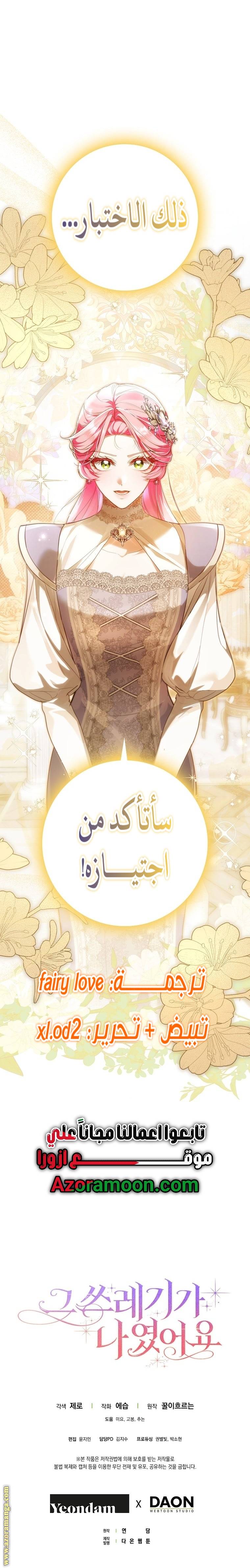 الصفحة 19
