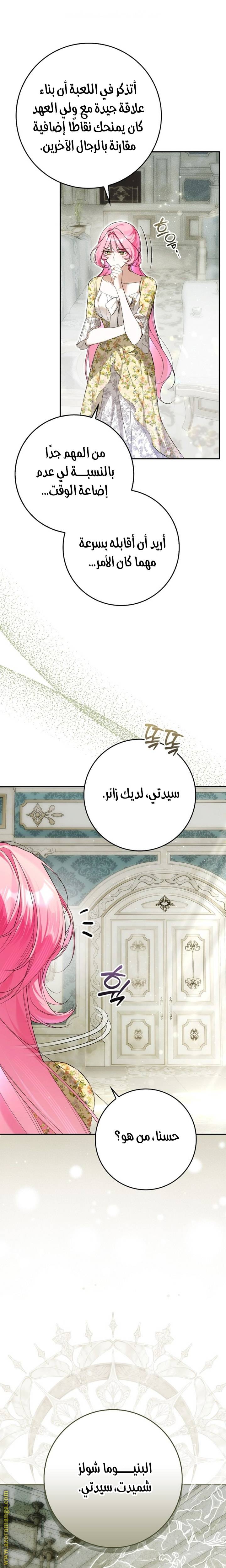 الصفحة 13