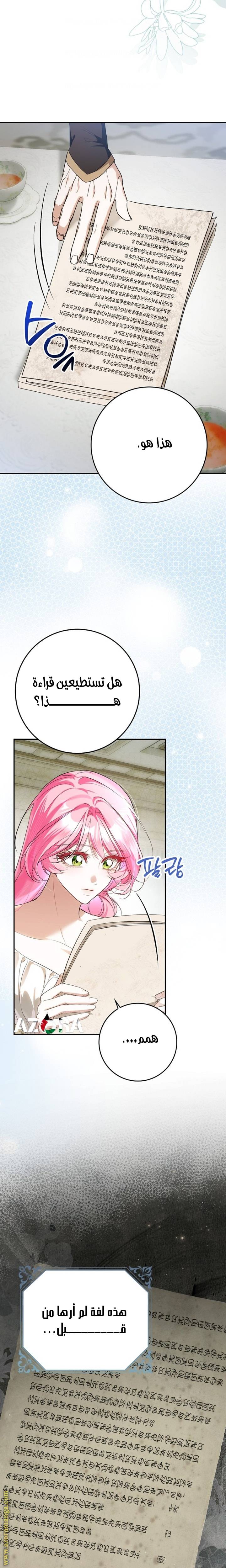الصفحة 17