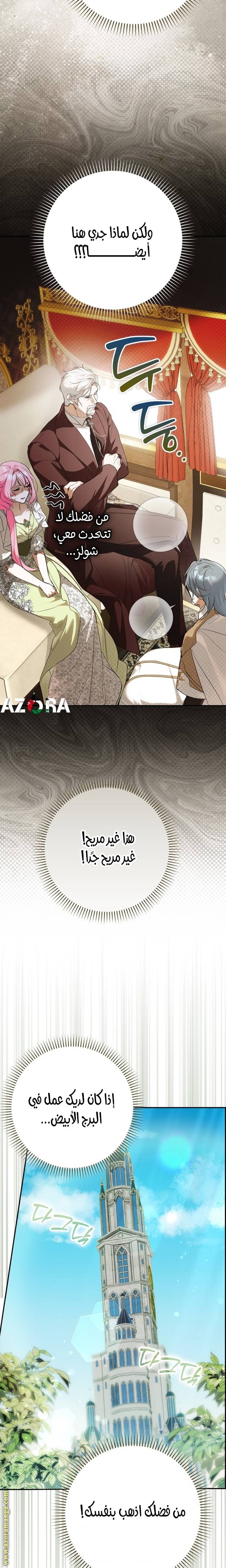 الصفحة 26