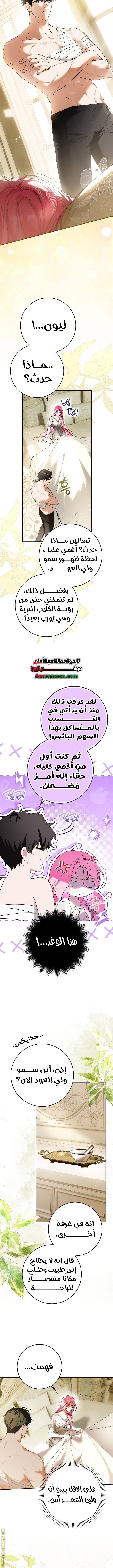 الصفحة 11