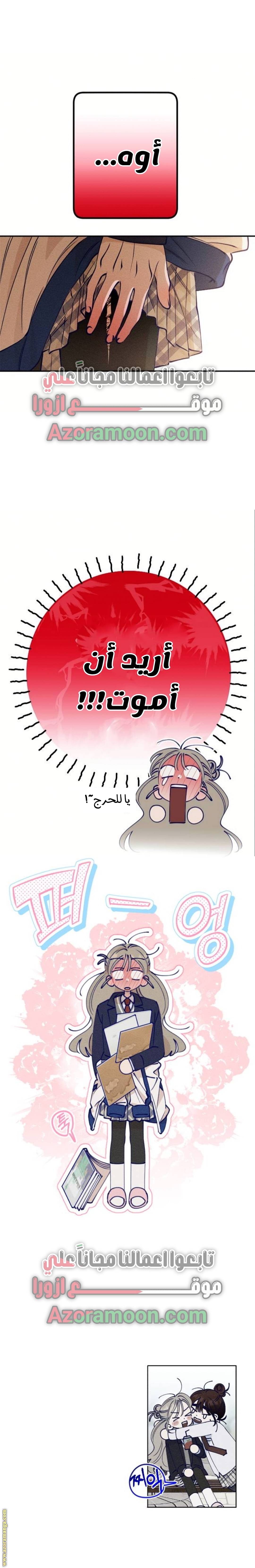 الصفحة 20