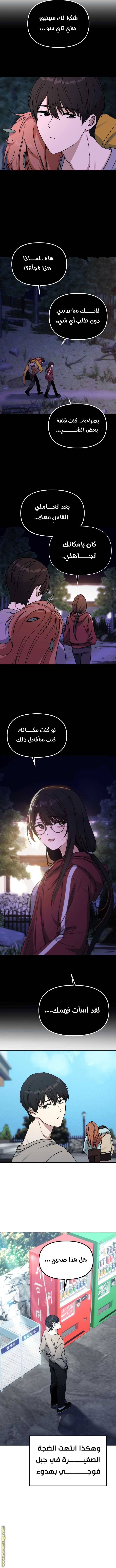 الصفحة 12