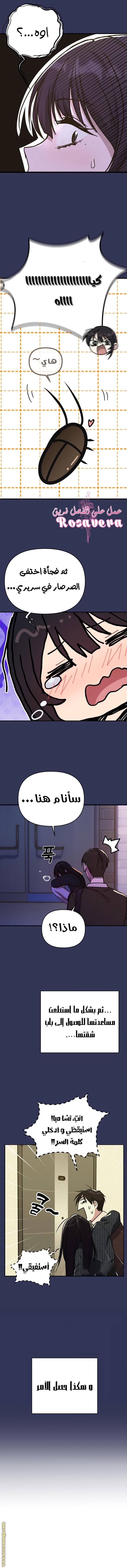 الصفحة 7