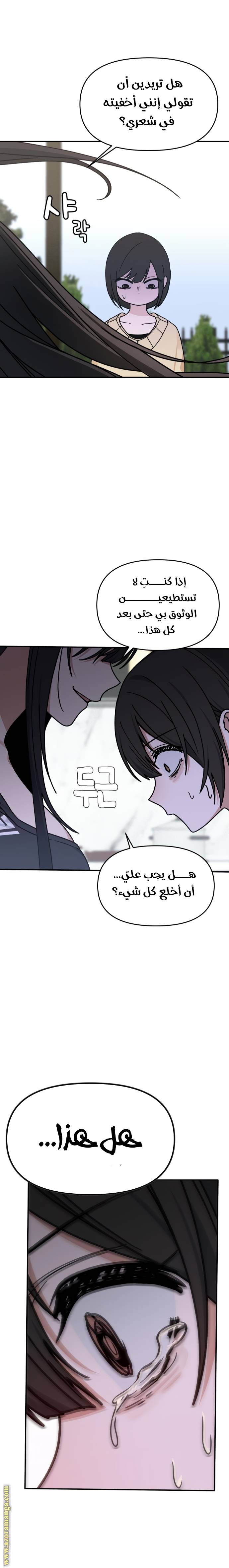 الصفحة 13