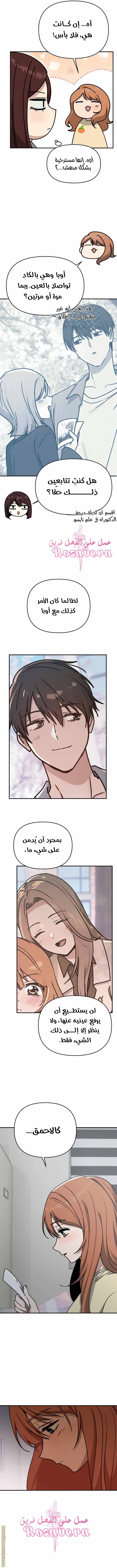 الصفحة 14