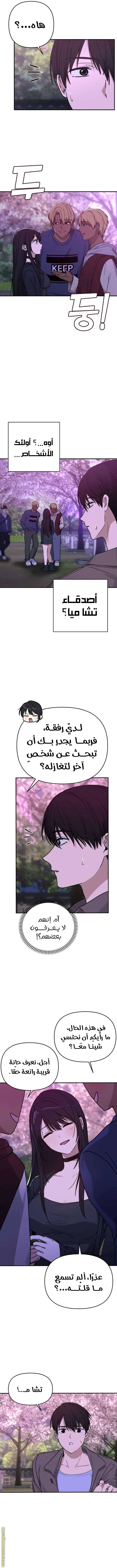 الصفحة 13