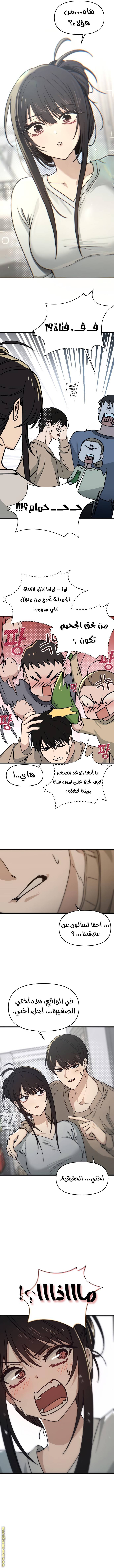 الصفحة 15