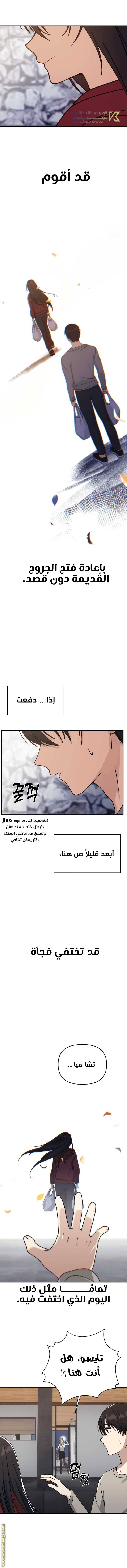 الصفحة 13