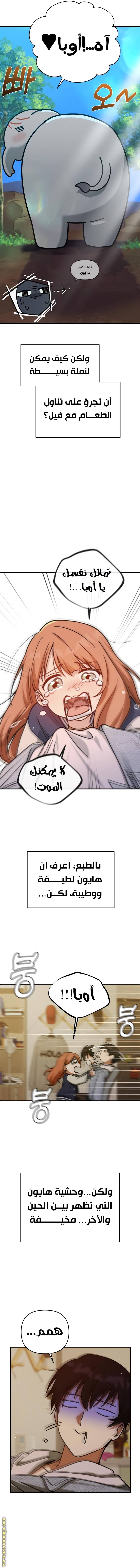 الصفحة 6