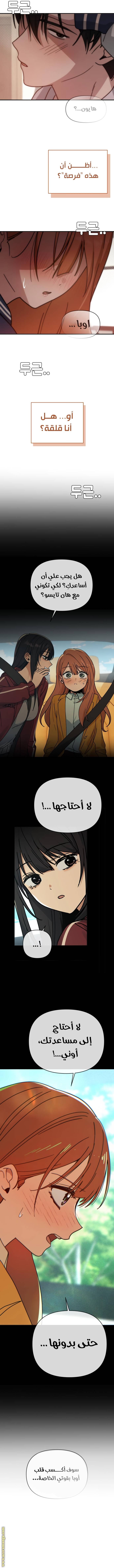 الصفحة 17