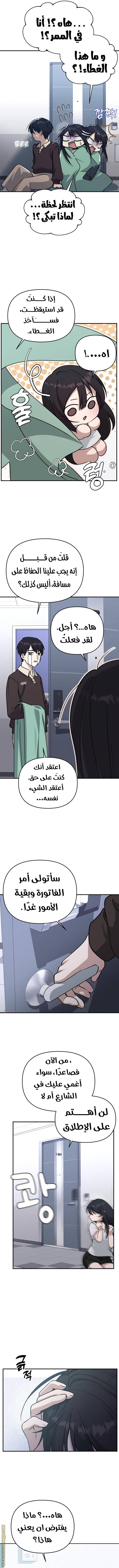 الصفحة 3