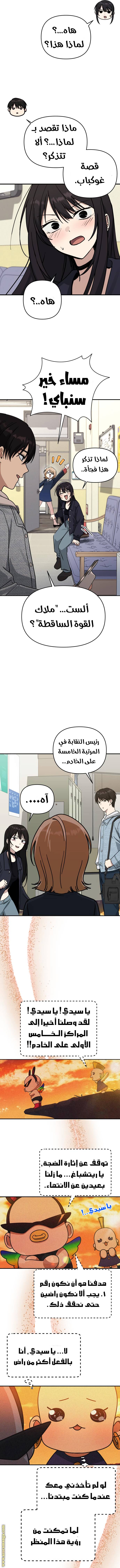 الصفحة 15