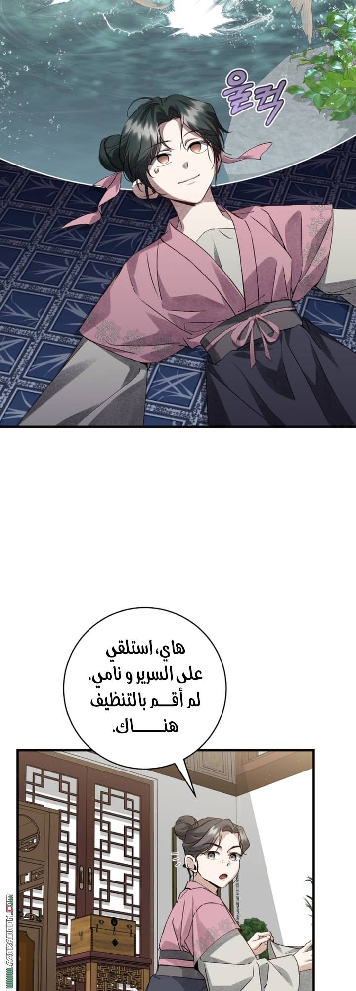 الصفحة 17