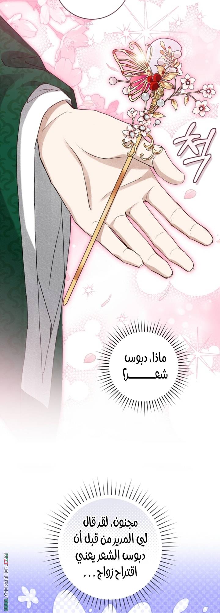 الصفحة 28