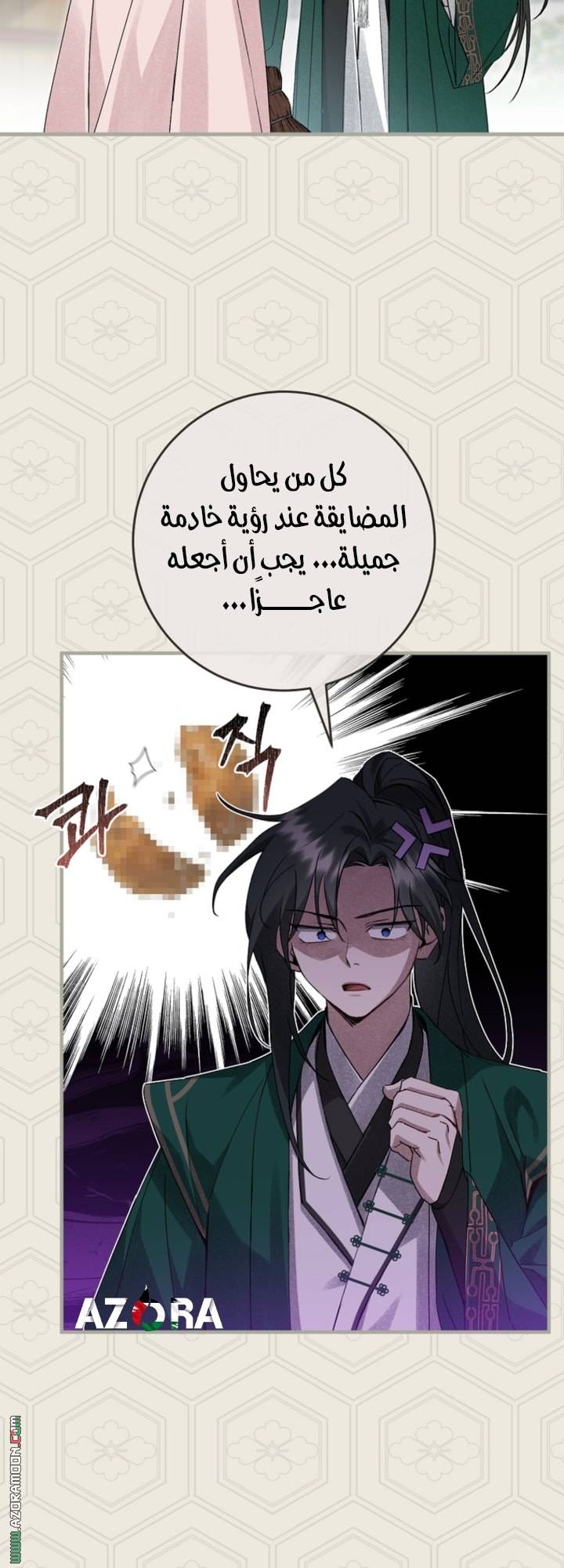 الصفحة 47