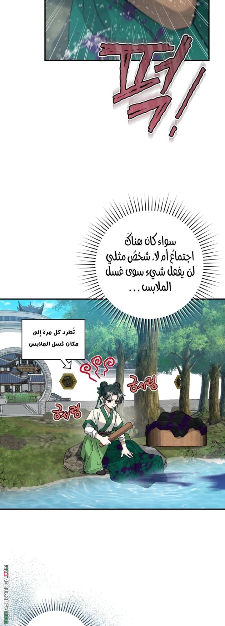 الصفحة 25