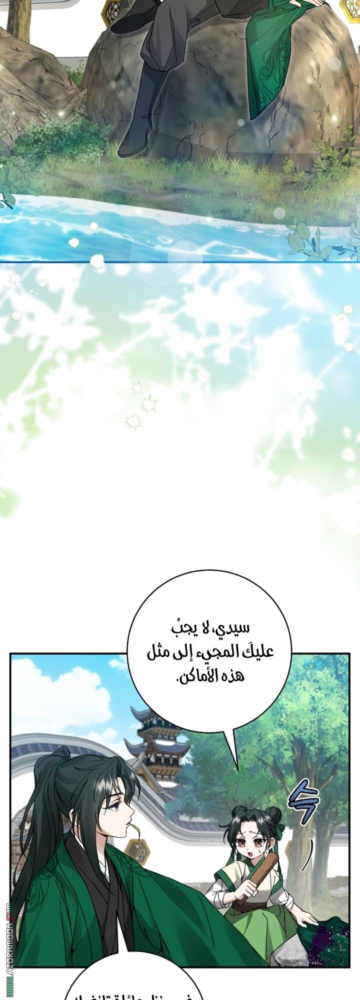 الصفحة 27