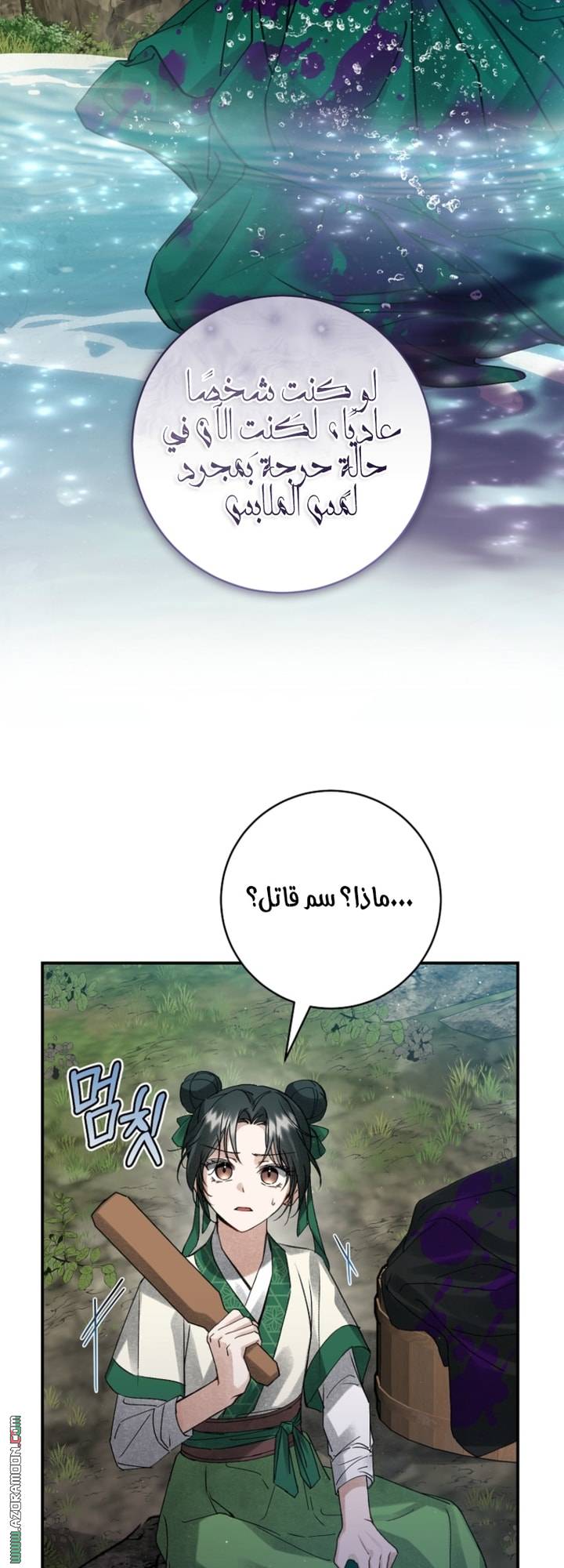 الصفحة 31