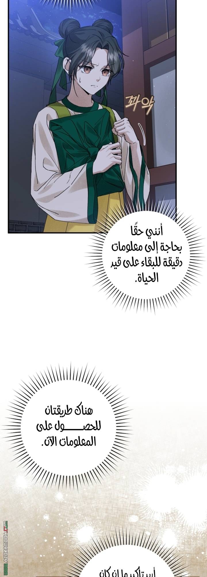 الصفحة 17