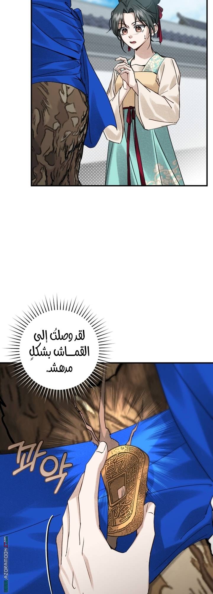 الصفحة 47