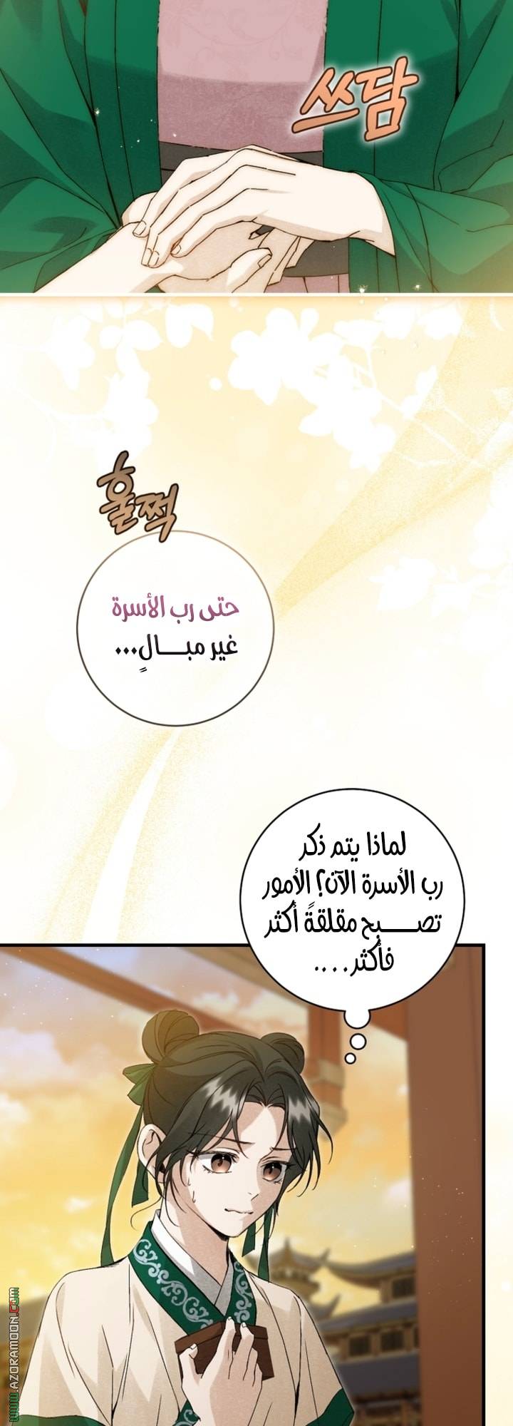 الصفحة 17