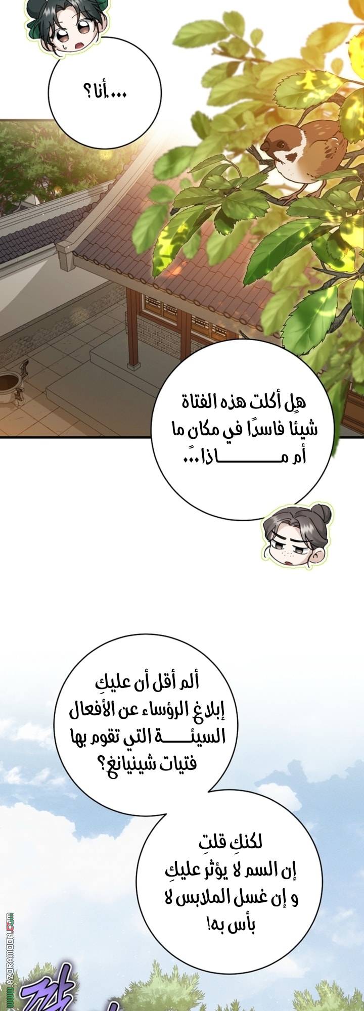 الصفحة 28