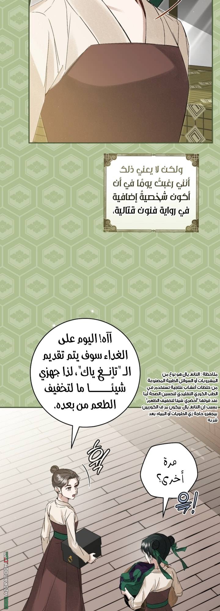 الصفحة 17