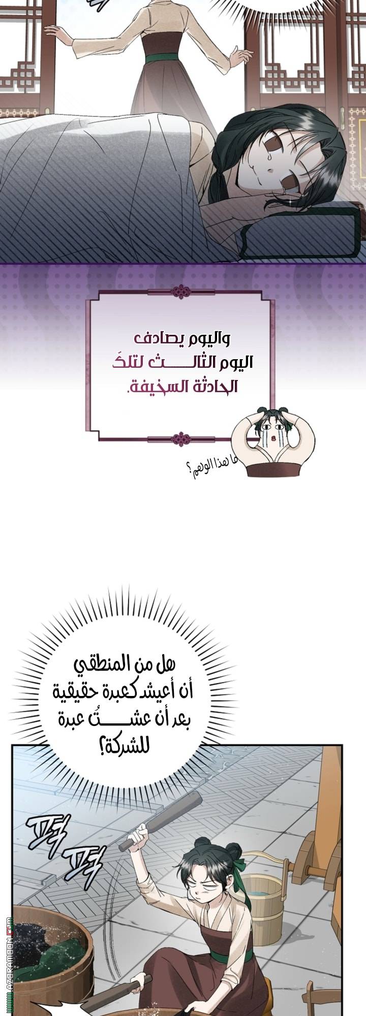الصفحة 27