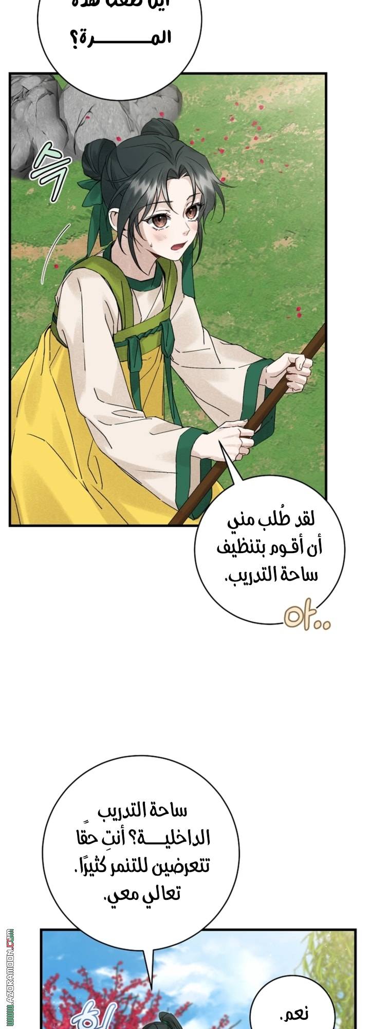 الصفحة 17
