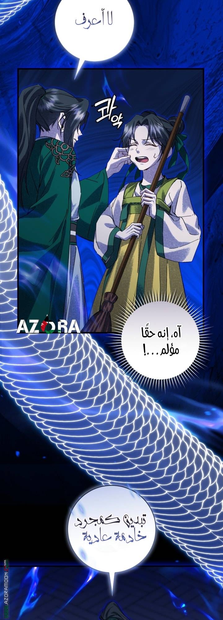 الصفحة 27
