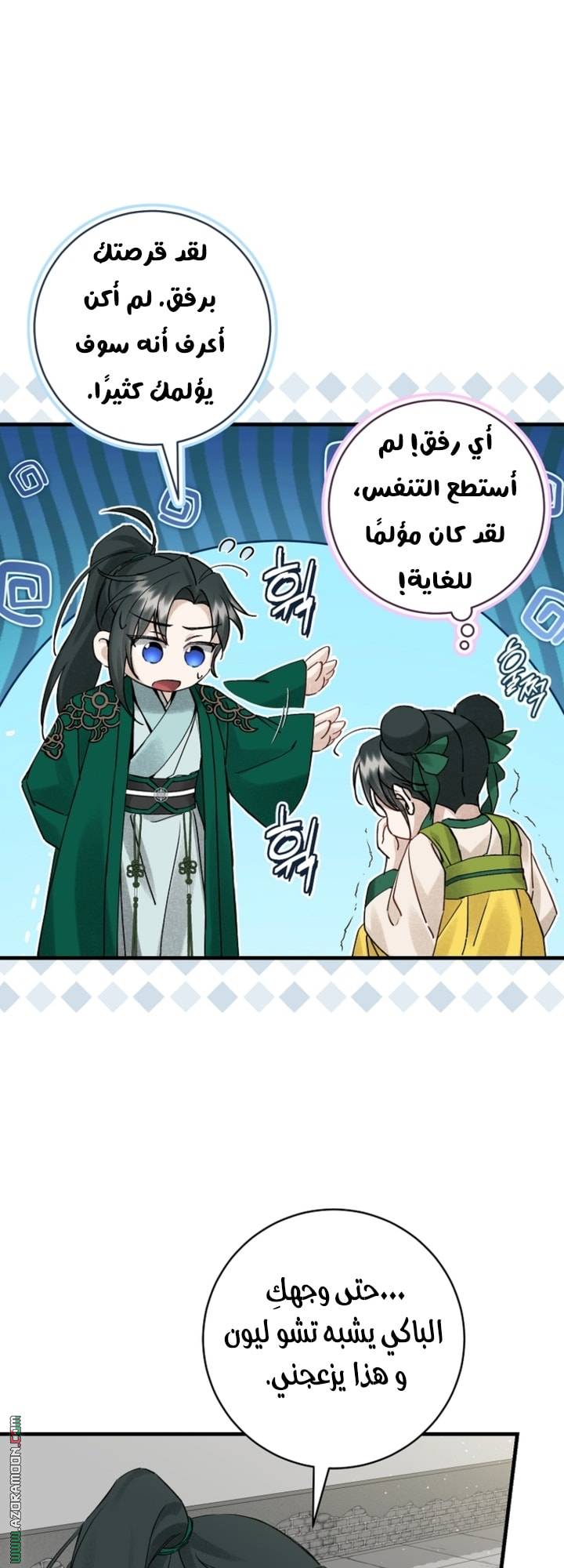 الصفحة 31