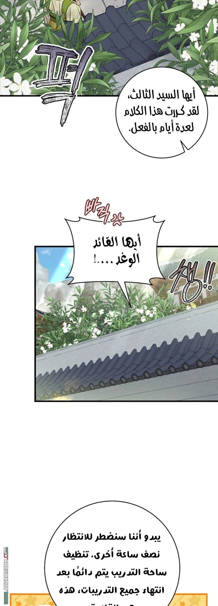 الصفحة 41
