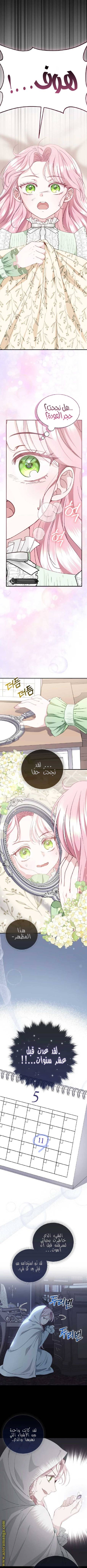 الصفحة 13