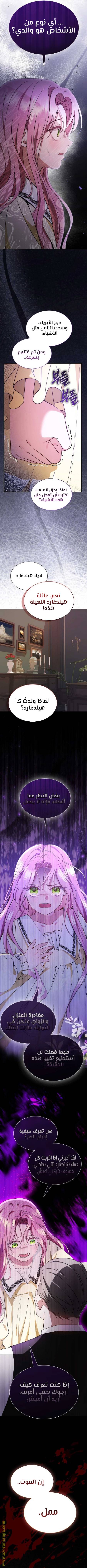 الصفحة 17