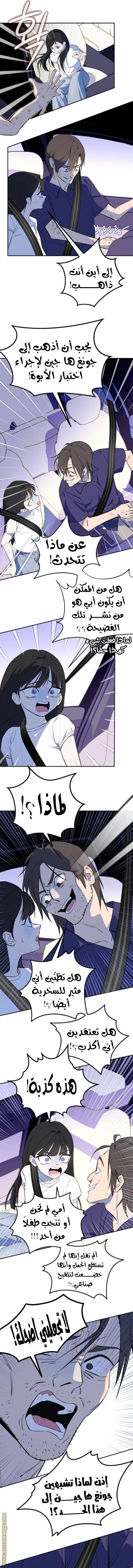 الصفحة 17