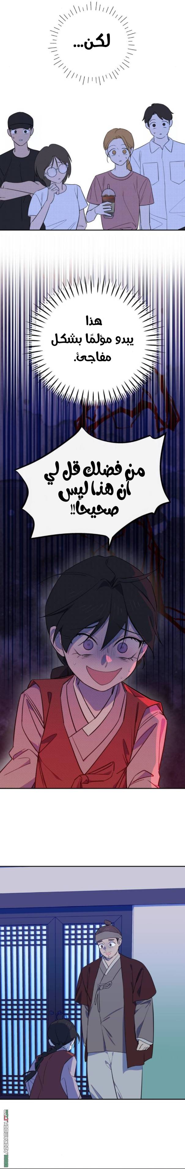 الصفحة 13