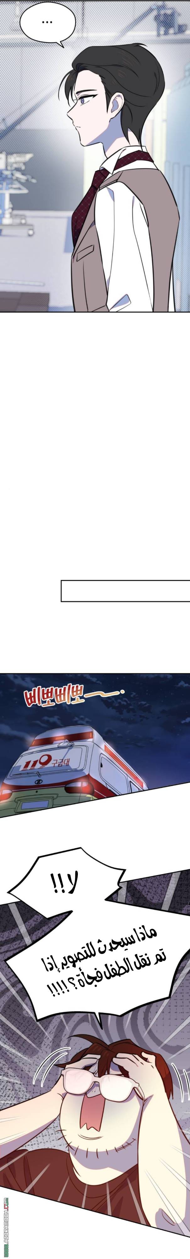 الصفحة 17